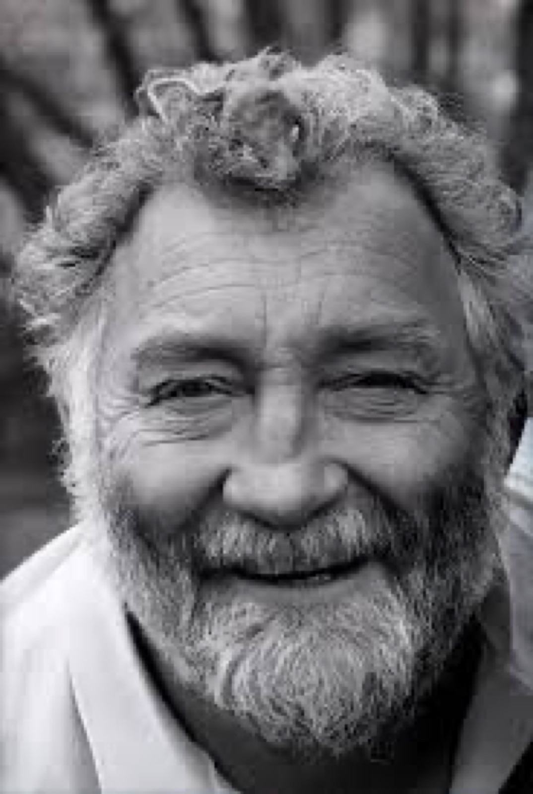 Black and white portrait of botanist and broadcaster David Bellamy