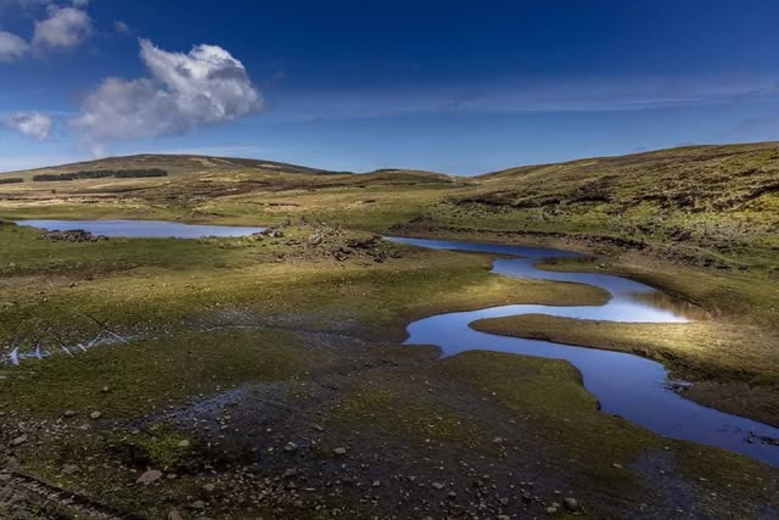 Loughareema partly drained, with winding channels of water cutting through exposed ground